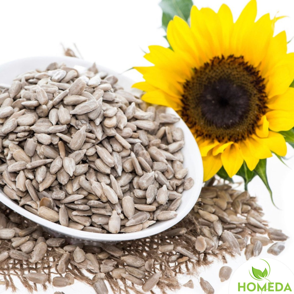 Raw Pumpkin seeds and Sunflower seeds combo for Eating – Shudh Online