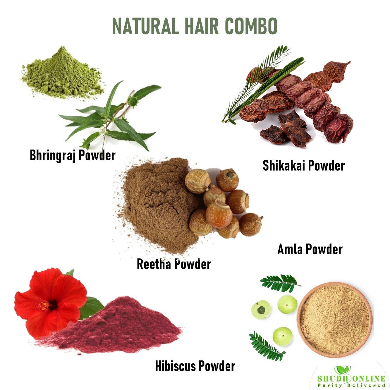 Bhringraj For Hair: The Ayurvedic Wonder Herb! – Vedix